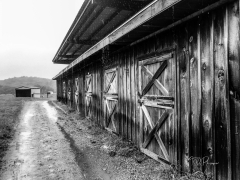 Rainy Day Horse Stables