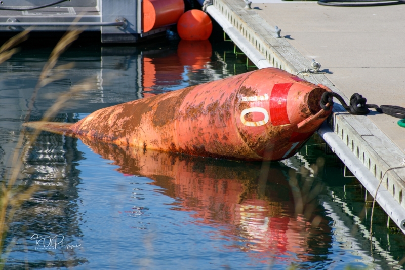 Dock Buoy