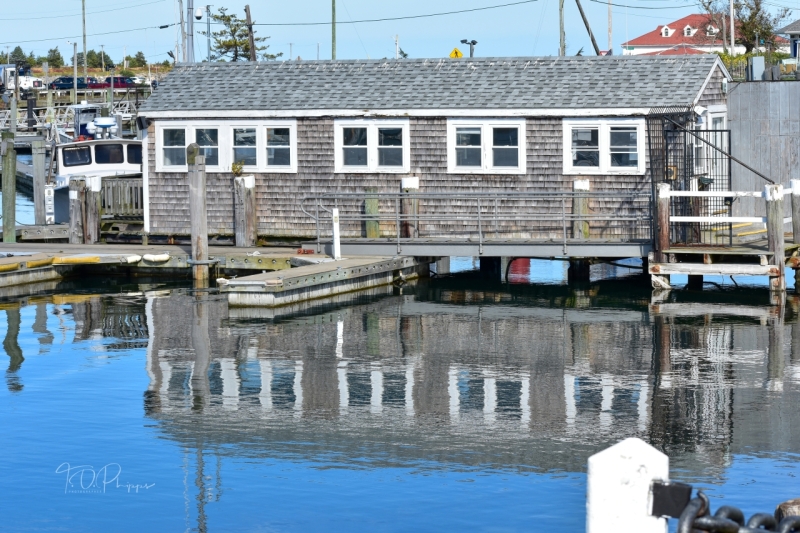 Harbormaster Shack