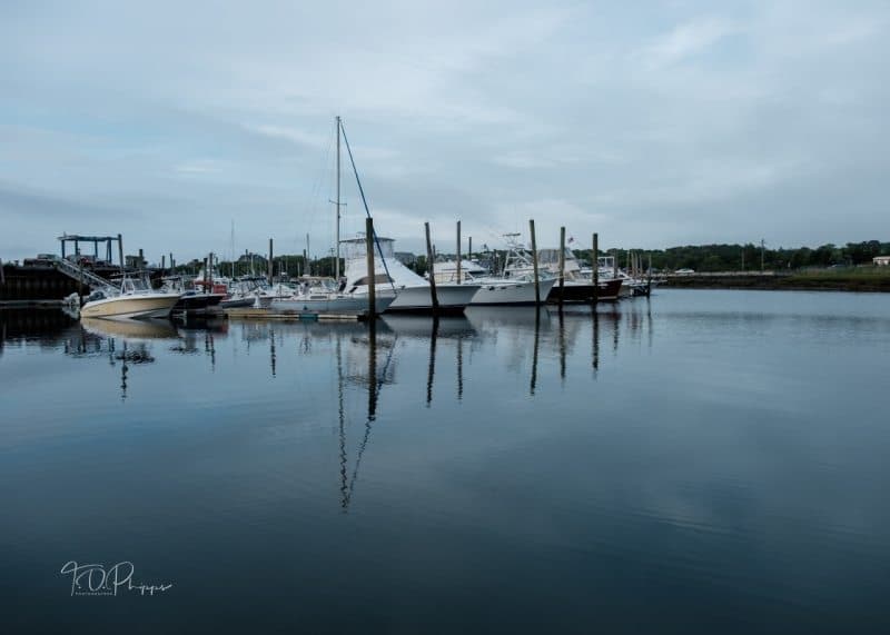 Sesuit Harbor Reflections