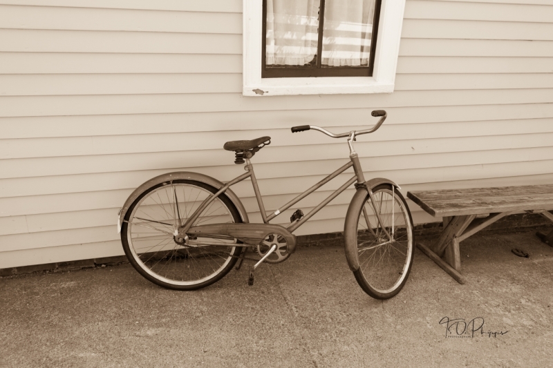 Vintage Bicycle